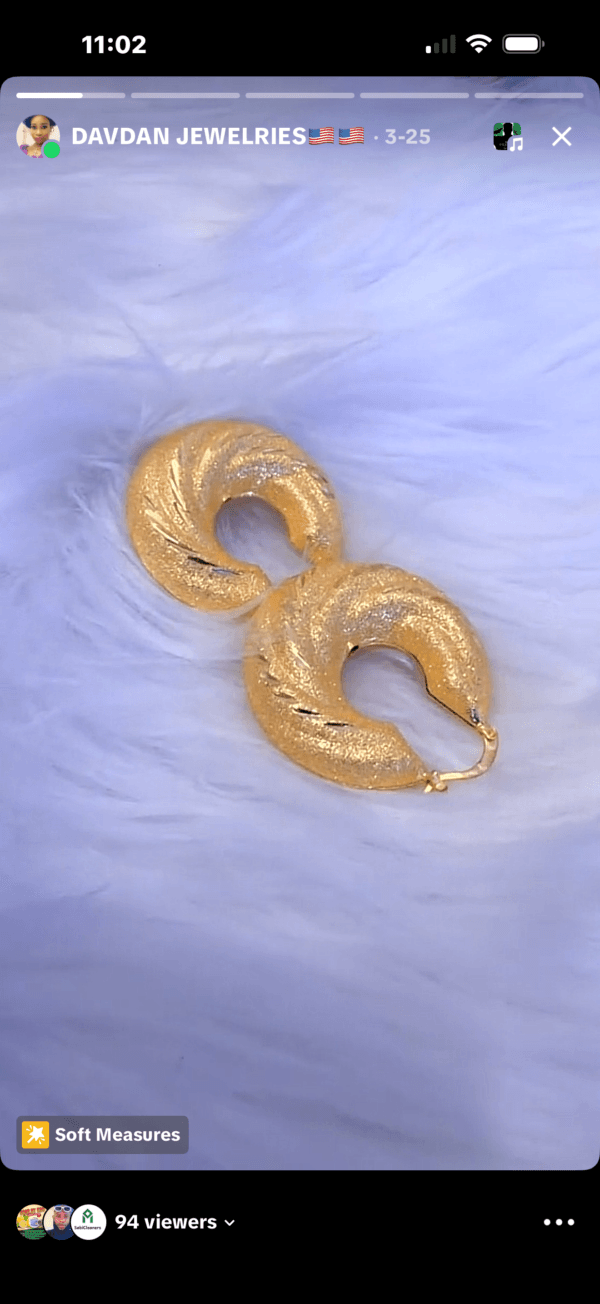 DJ017(Gold  Loop Earrings )